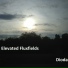Elevated Fluxfields
