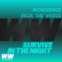 Wondermee, Felix The Voice