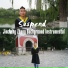 Jincheng Zhang Background Instrumental