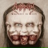 Acrostichon