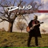 Dingo