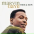 Marvin Gaye