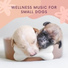 Music for Dogs Collective