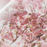 불꽃심장 Yang Su Hyeok