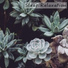 Nature Sounds
