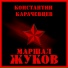 Константин Карачевцев