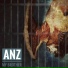 Anz