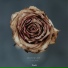 koozie feat. Kim Roze feat. Kim Roze