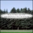 Mindfulness Slow Life Selection