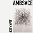 ambsace