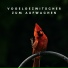 Vogelstimmen