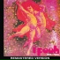 I Pooh (1971 - Opera Prima)
