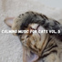 Kally Cat Fiores