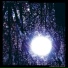 Six Organs Of Admittance