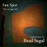 Brad Segal Sun Spot