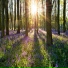 zen remastering
