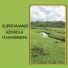 Super Mambo