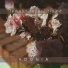 Adonia