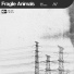 Fragile Animals