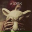 Aiden
