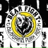 Bear Fight