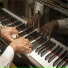 Elias Negash