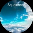 Squarehead