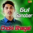 Gul Sanober