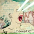 CaustiC