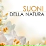 Musica Rilassante Relax
