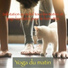 Le Monde du Yoga