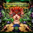 Morphic Resonance