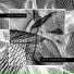 WIRED NETWORK