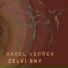 Karel Vepřek