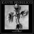 Kante Pinrélico