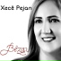 Xecê Pejan feat. Ömer Tok
