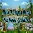 Nabeel Qadir