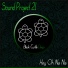 Sound Project 21