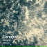 Canopée