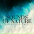 Sounds of Nature White Noise Relaxation Meditation