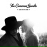 2 - The Netherlands - The Common Linnets