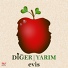 Evis