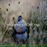 Instrumental Chill Hop