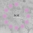 Nym