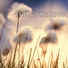 Reiki Healing Music Ensemble