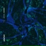 3 - KI 201 - Estonia - Jozels