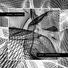 WIRED NETWORK