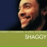 Shaggy