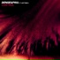 Dense & Pika feat. Leftfield