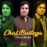 Javed Bashir feat. Farhat Shehzad